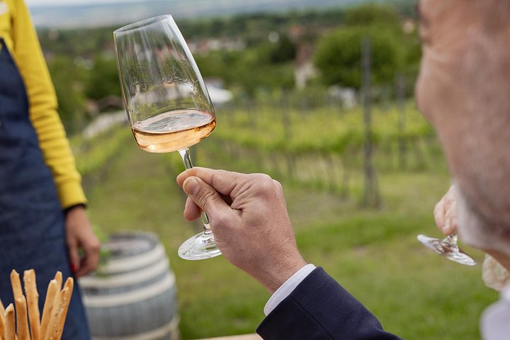 Wine tasting and traditional Hungarian meal in the Etyek wine region near Budapest, photo 20 | wizardtrip