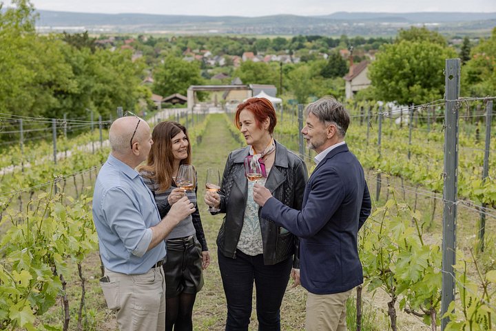 Wine tasting and traditional Hungarian meal in the Etyek wine region near Budapest, photo 21 | wizardtrip