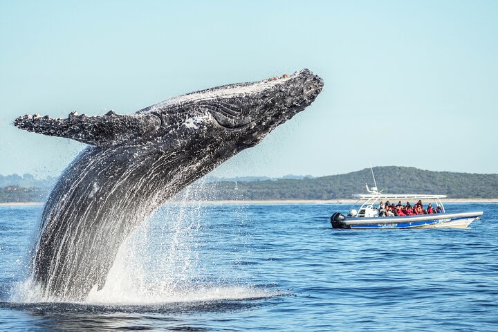 New South Wales | wizardtrip