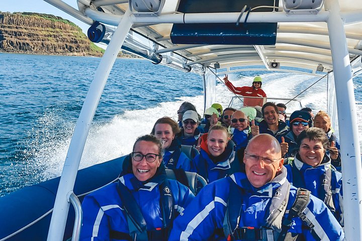 Hvalsafari i Byron Bay, Australia, med knølhval og marint liv, foto 20 | wizardtrip