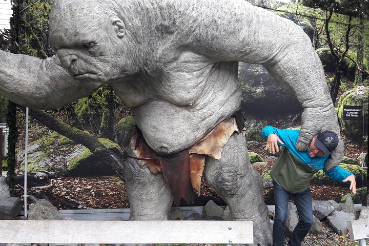 Tour di Mezza Giornata di Wellington | wizardtrip
