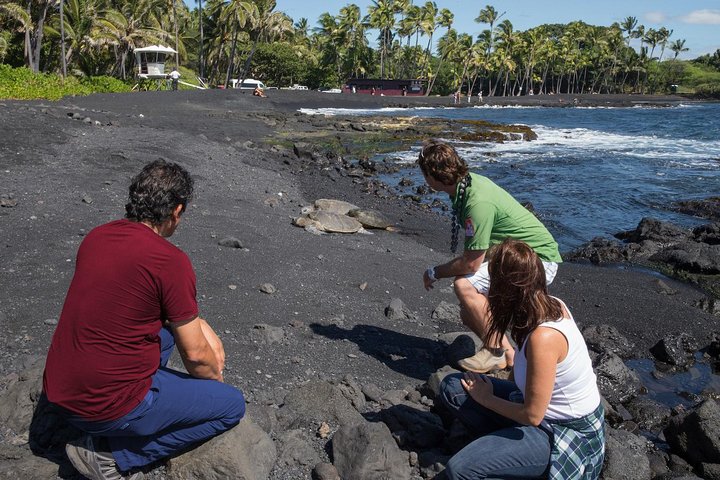 Heldagstur på Big Island, Hawaii, som viser vulkaner, fossefall og unike landskap, foto 7 | wizardtrip