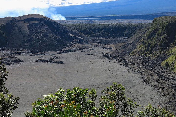 Heldagstur på Big Island, Hawaii, som viser vulkaner, fossefall og unike landskap, foto 9 | wizardtrip