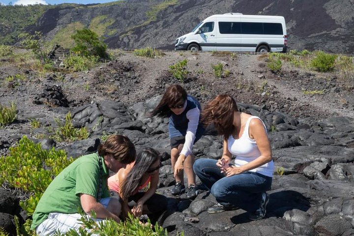 Tour in kleine groep op Big Island, Hawaï, met vulkanen, koffieboerderijen, zwarte zandstranden en sterrenkijken, foto 9 | wizardtrip