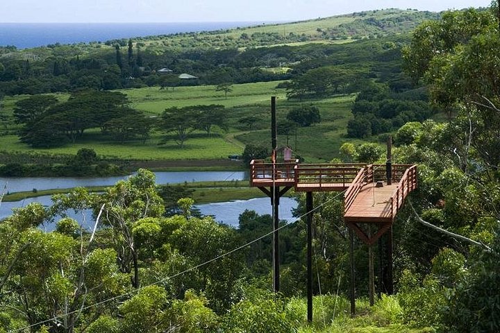 Experimenta la emoción de la tirolina sobre los exuberantes paisajes y aguas turquesas de Kauai, foto 8 | wizardtrip