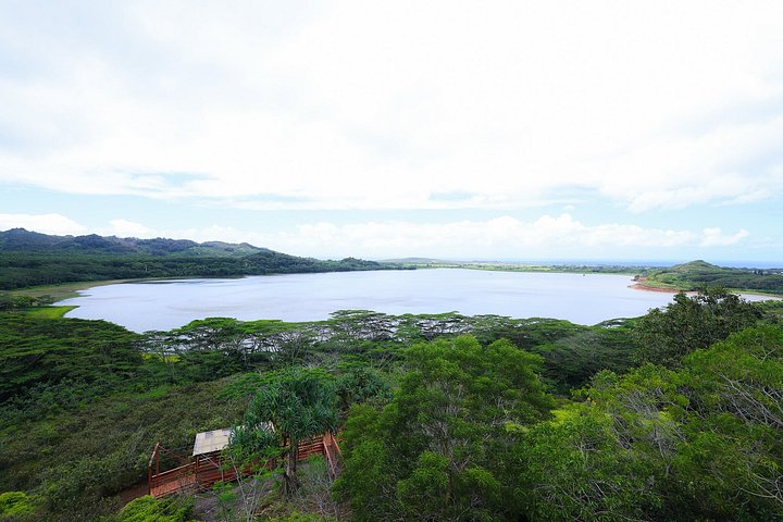 Experimenta la emoción de la tirolina sobre los exuberantes paisajes y aguas turquesas de Kauai, foto 10 | wizardtrip