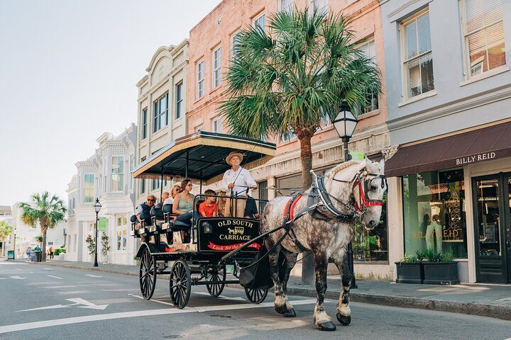 Horse-drawn carriage tour through historic Charleston streets, showcasing architecture and gardens, photo 1 | wizardtrip