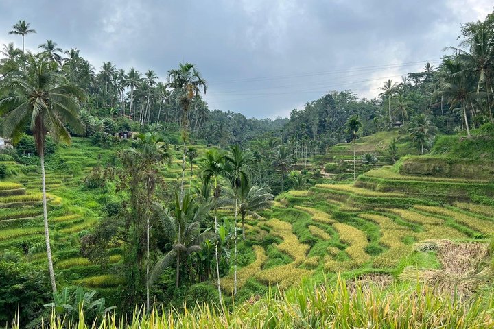 Wildwaterraftavontuur op de Ayung Rivier in Ubud, Bali, met weelderige groene omgeving en optionele watervalbezoeken, foto 40 | wizardtrip