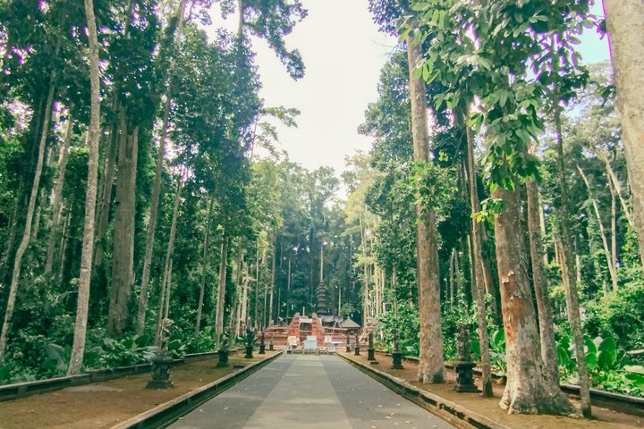 Wildwaterraftavontuur op de Ayung Rivier in Ubud, Bali, met weelderige groene omgeving en optionele watervalbezoeken, foto 46 | wizardtrip