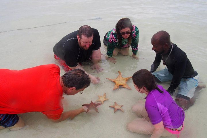 Experimente Stingray City, Starfish Point e Coral Gardens nesta aventura em Grand Cayman, foto 9 | wizardtrip