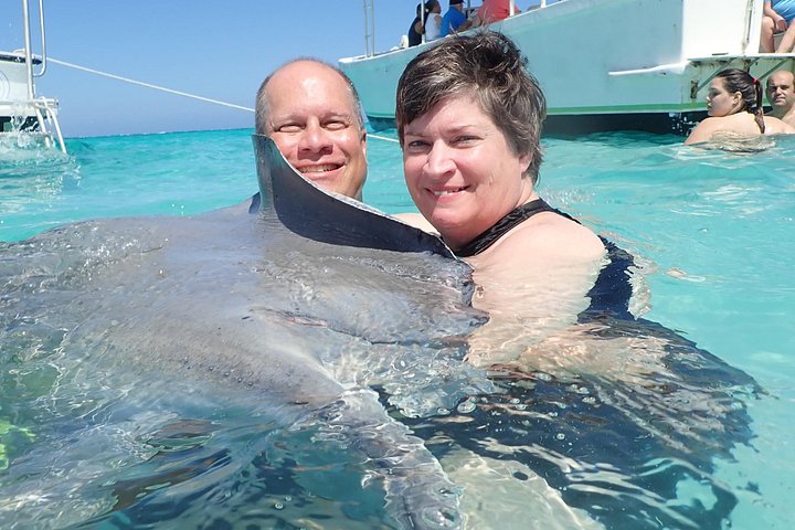 Experimente Stingray City, Starfish Point e Coral Gardens nesta aventura em Grand Cayman, foto 14 | wizardtrip