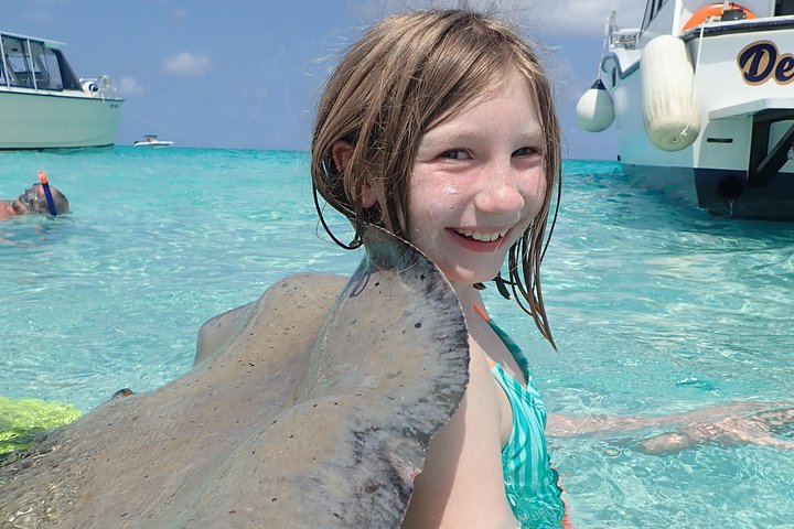 Experimente Stingray City, Starfish Point e Coral Gardens nesta aventura em Grand Cayman, foto 18 | wizardtrip