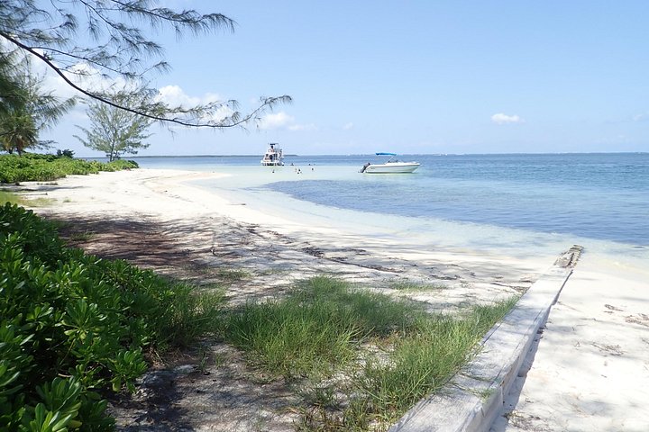 Experimente Stingray City, Starfish Point e Coral Gardens nesta aventura em Grand Cayman, foto 22 | wizardtrip