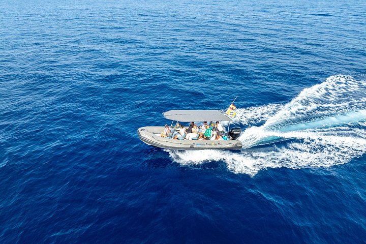 Miljøvenlig hvalsafari- og delfinsafari-bådtur fra Costa Adeje, Tenerife, foto 13 | wizardtrip