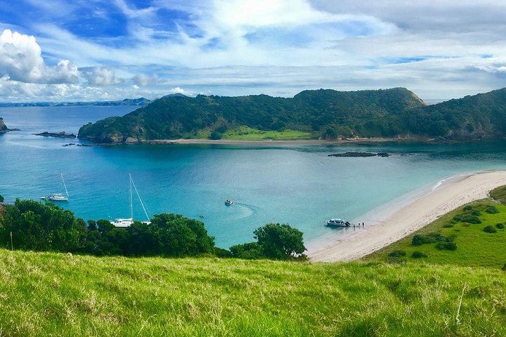Scenic boat tour of the Bay of Islands, New Zealand, featuring the Hole in the Rock and island stopovers, photo 9 | wizardtrip