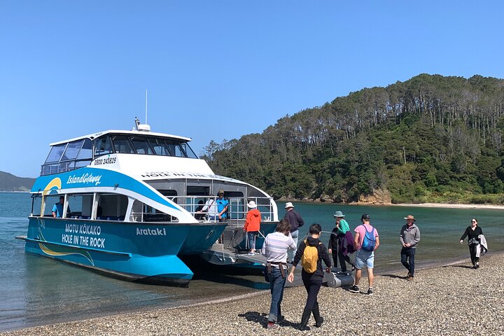 Scenic boat tour of the Bay of Islands, New Zealand, featuring the Hole in the Rock and island stopovers, photo 10 | wizardtrip