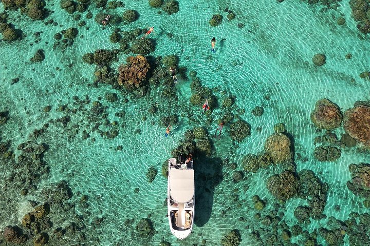 Excursión de snorkel en grupo de medio día en la laguna de Bora Bora con mantarrayas y jardines de coral, foto 8 | wizardtrip