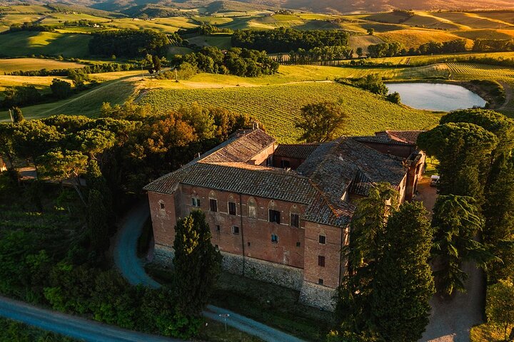Cours de cuisine Brunello avec vue sur les vignobles Winery | wizardtrip