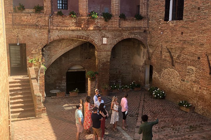 Praktisk toscansk madlavningskursus med udsigt over vinmarkerne og Brunello-vinsmagning i Siena, Italien, foto 19 | wizardtrip
