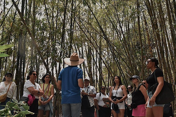 Entdecken Sie die lebendige Straßenkunst, ikonischen Sehenswürdigkeiten und atemberaubenden Stadtlandschaften von Medellín auf dieser umfassenden Tour, Foto 20 | wizardtrip