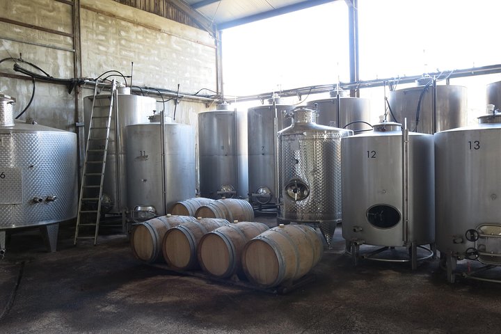 Small group wine tour in the Troodos Mountains, Cyprus, visiting wineries and enjoying local food, photo 6 | wizardtrip