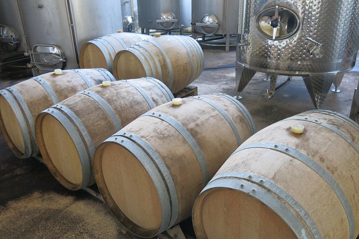 Small group wine tour in the Troodos Mountains, Cyprus, visiting wineries and enjoying local food, photo 12 | wizardtrip