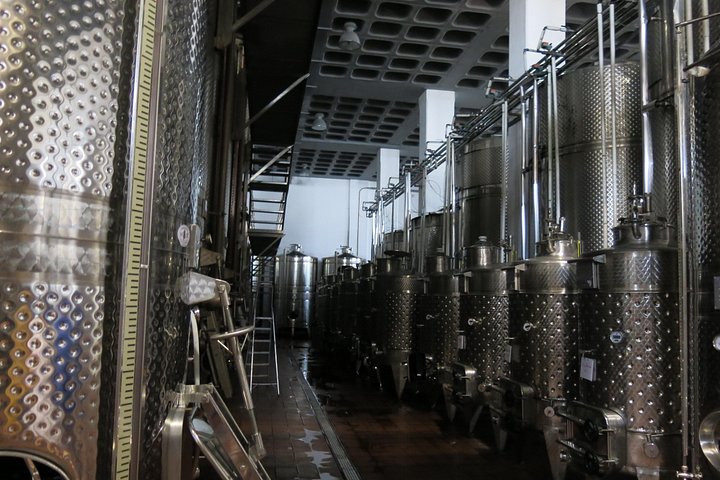 Small group wine tour in the Troodos Mountains, Cyprus, visiting wineries and enjoying local food, photo 19 | wizardtrip