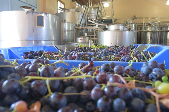 Small group wine tour in the Troodos Mountains, Cyprus, visiting wineries and enjoying local food, photo 21 | wizardtrip