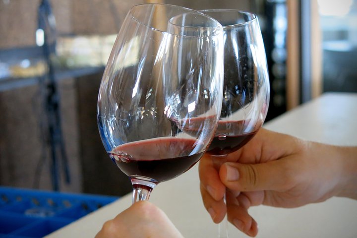 Small group wine tour in the Troodos Mountains, Cyprus, visiting wineries and enjoying local food, photo 22 | wizardtrip