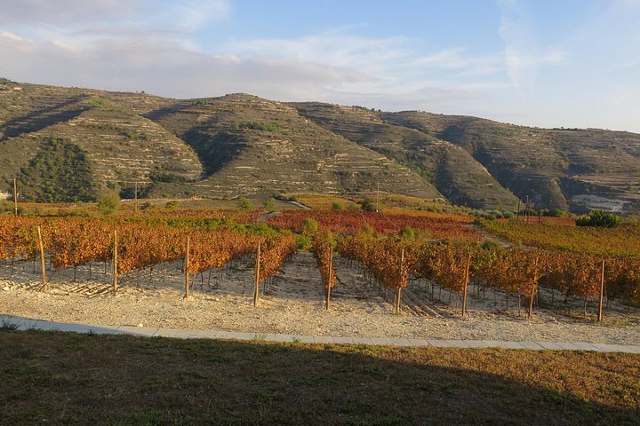 Small group wine tour in the Troodos Mountains, Cyprus, visiting wineries and enjoying local food, photo 38 | wizardtrip
