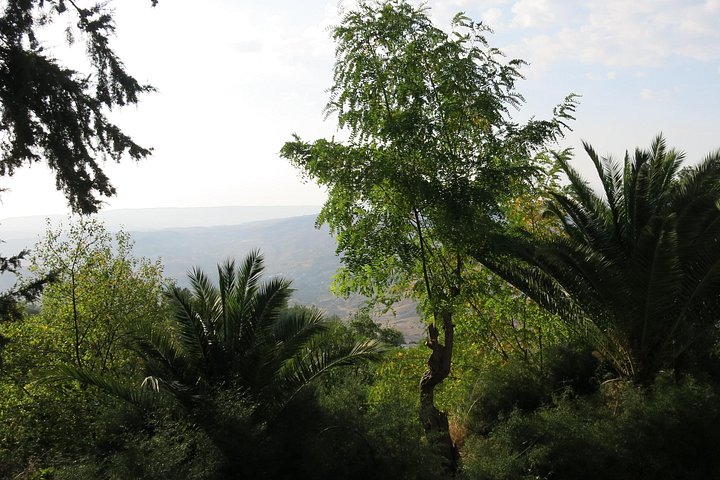 Small group wine tour in the Troodos Mountains, Cyprus, visiting wineries and enjoying local food, photo 39 | wizardtrip