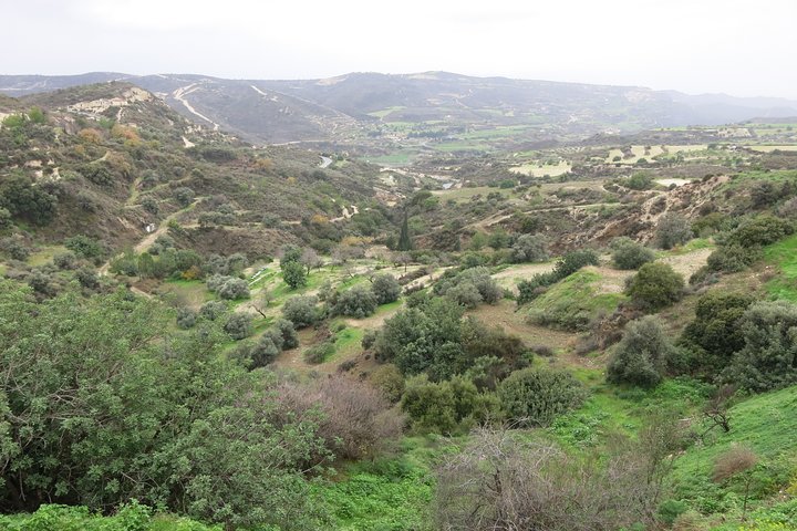 Taste traditional Cypriot food and wine while exploring the scenic Troodos Mountains villages, photo 19 | wizardtrip