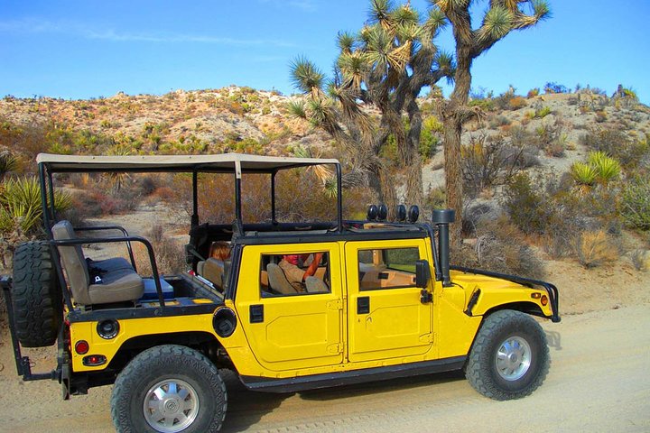 Excursion en Hummer en plein air dans le parc national de Joshua Tree, explorant des paysages désertiques et des formations rocheuses, photo 10 | wizardtrip