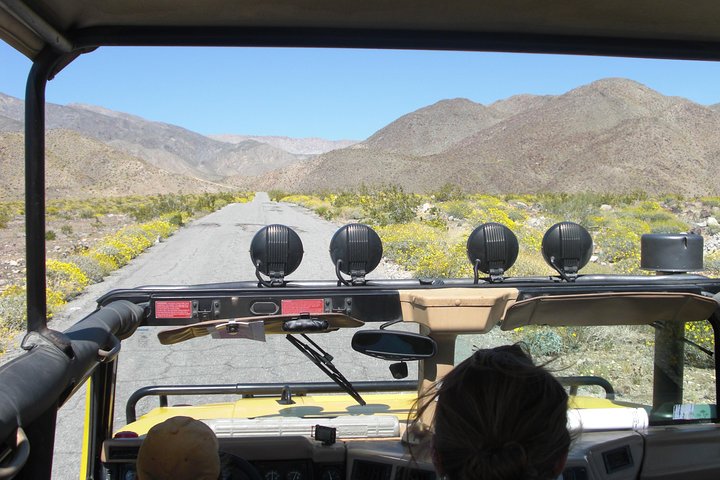 Excursion en Hummer en plein air dans le parc national de Joshua Tree, explorant des paysages désertiques et des formations rocheuses, photo 11 | wizardtrip