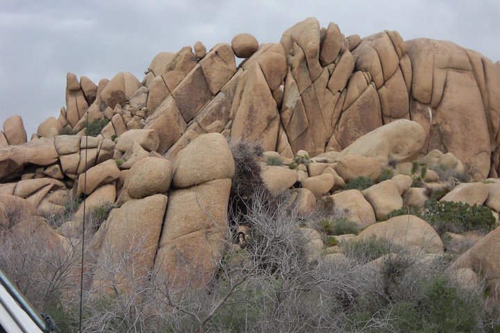 Excursion en Hummer en plein air dans le parc national de Joshua Tree, explorant des paysages désertiques et des formations rocheuses, photo 13 | wizardtrip