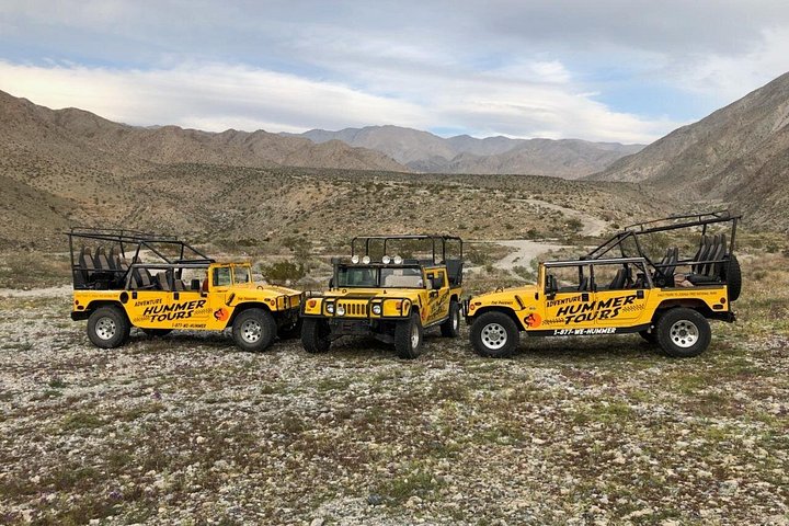 Excursion en Hummer en plein air dans le parc national de Joshua Tree, explorant des paysages désertiques et des formations rocheuses, photo 14 | wizardtrip