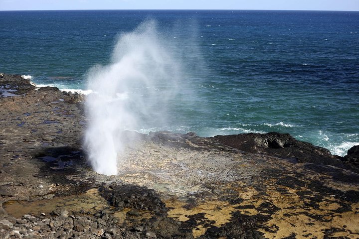 Vues panoramiques des paysages diversifiés d'Oahu, y compris les plages, les cascades et les sites historiques, photo 8 | wizardtrip