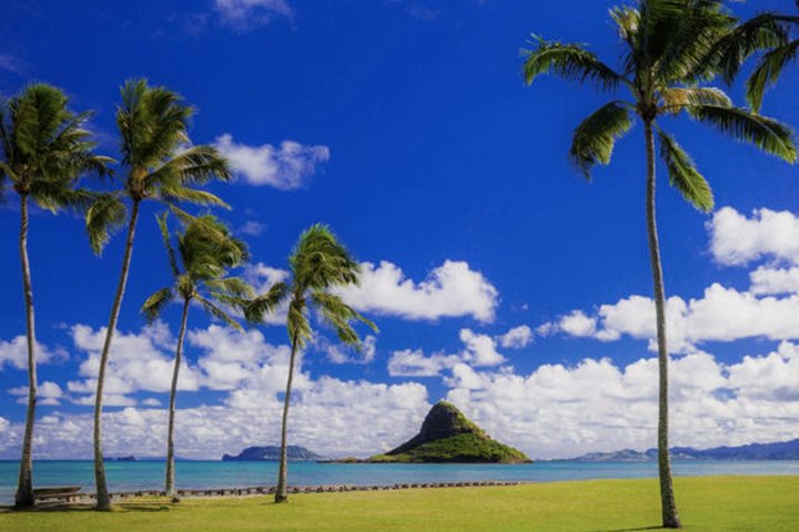 Vues panoramiques des paysages diversifiés d'Oahu, y compris les plages, les cascades et les sites historiques, photo 10 | wizardtrip
