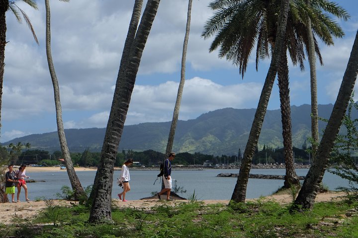 Vues panoramiques des paysages diversifiés d'Oahu, y compris les plages, les cascades et les sites historiques, photo 11 | wizardtrip