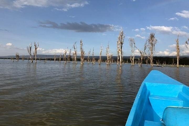 Esplora il Parco Nazionale Hell's Gate e il Lago Naivasha in un tour privato da Nairobi, Kenya, con ciclismo e avvistamento della fauna selvatica, foto 6 | wizardtrip