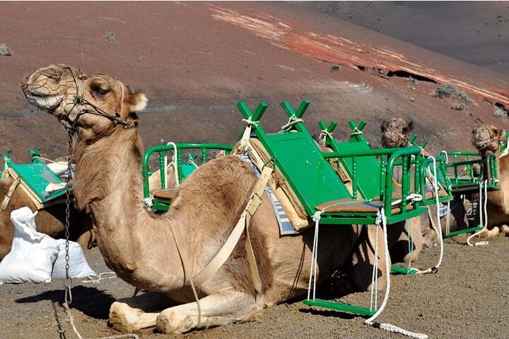 Erkunden Sie Lanzarotes Vulkanlandschaften, darunter Timanfaya und Jameos del Agua, Foto 9 | wizardtrip