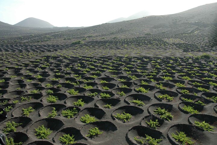 Erkunden Sie Lanzarotes Vulkanlandschaften, darunter Timanfaya und Jameos del Agua, Foto 10 | wizardtrip