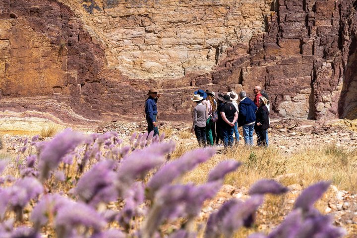 Excursion d'une journée explorant la beauté naturelle des West MacDonnell Ranges près d'Alice Springs, photo 6 | wizardtrip