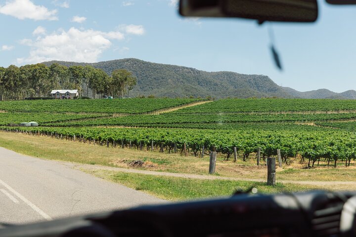 Premium wine and gin tasting tour in Hunter Valley from Sydney, Australia, photo 6 | wizardtrip