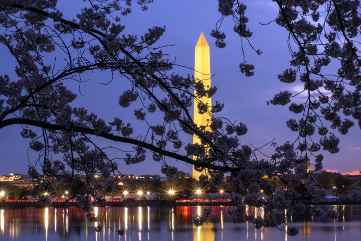 Night tour of Washington DC monuments, including the White House and Lincoln Memorial, with guided commentary, photo 9 | wizardtrip