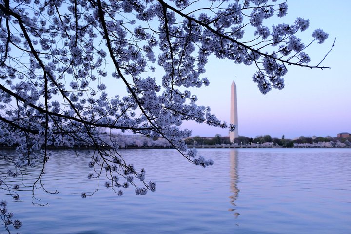 Night tour of Washington DC monuments, including the White House and Lincoln Memorial, with guided commentary, photo 13 | wizardtrip