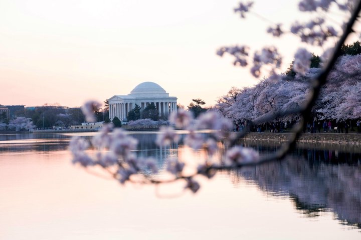 Night tour of Washington DC monuments, including the White House and Lincoln Memorial, with guided commentary, photo 21 | wizardtrip