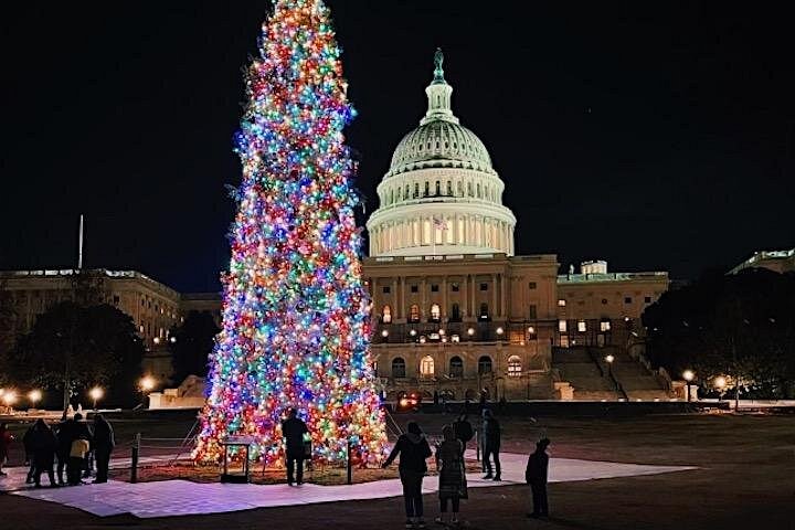 Night tour of Washington DC monuments, including the White House and Lincoln Memorial, with guided commentary, photo 31 | wizardtrip