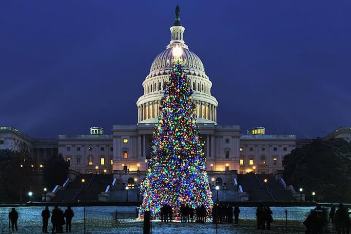 Night tour of Washington DC monuments, including the White House and Lincoln Memorial, with guided commentary, photo 34 | wizardtrip