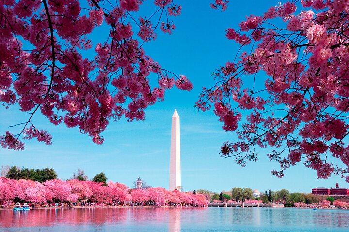DC in a Day: 10+ Monumenti, Crociera sul fiume, National Mall, Biglietti | wizardtrip